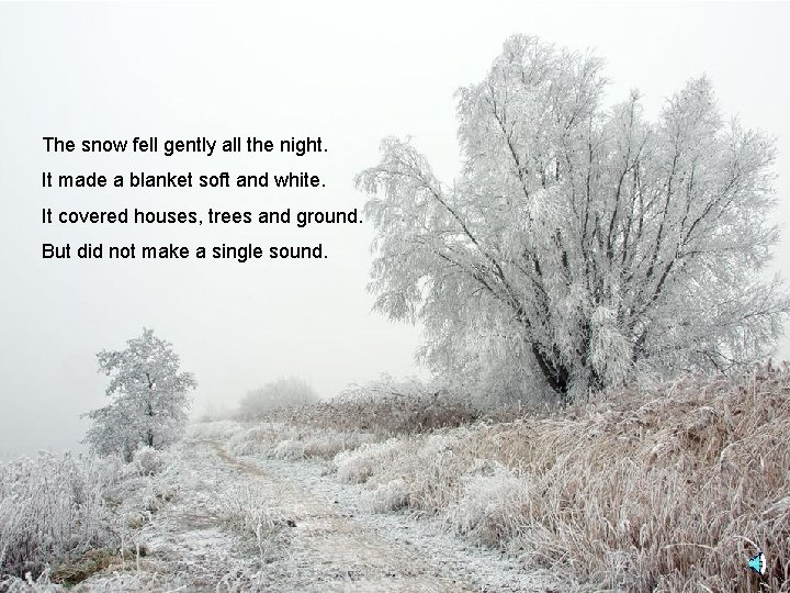 The snow fell gently all the night. It made a blanket soft and white.