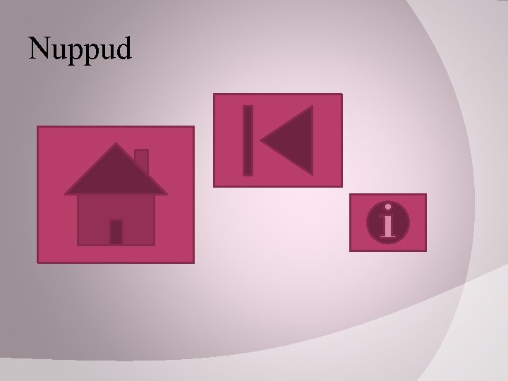 Nuppud 