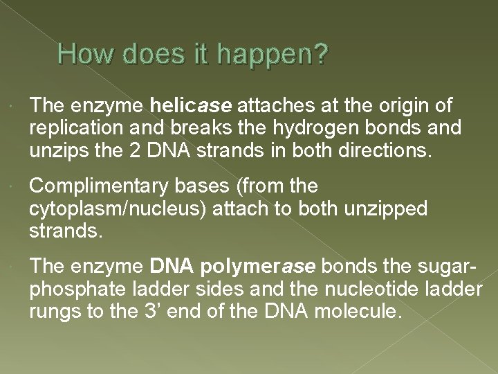 How does it happen? The enzyme helicase attaches at the origin of replication and