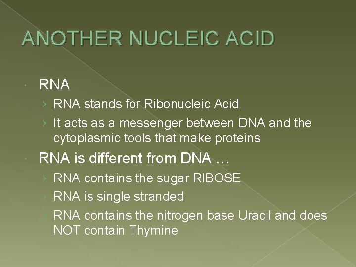 ANOTHER NUCLEIC ACID RNA › RNA stands for Ribonucleic Acid › It acts as