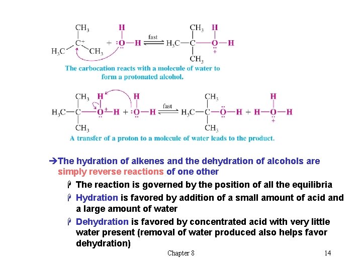 èThe hydration of alkenes and the dehydration of alcohols are simply reverse reactions of