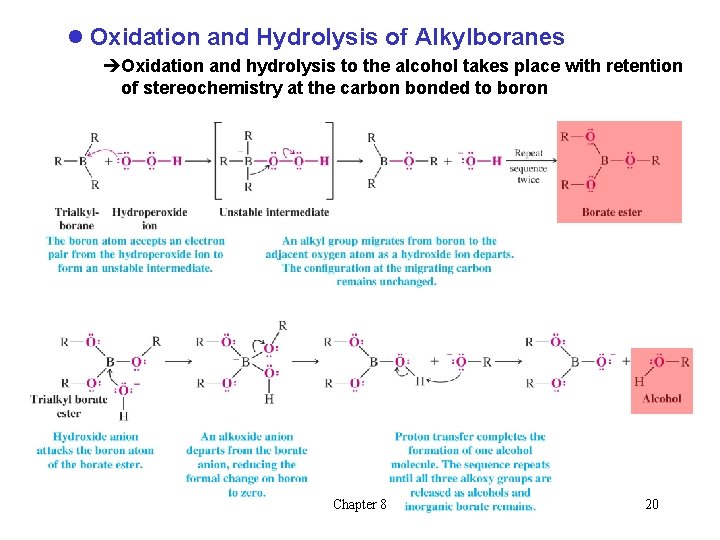 l Oxidation and Hydrolysis of Alkylboranes èOxidation and hydrolysis to the alcohol takes place