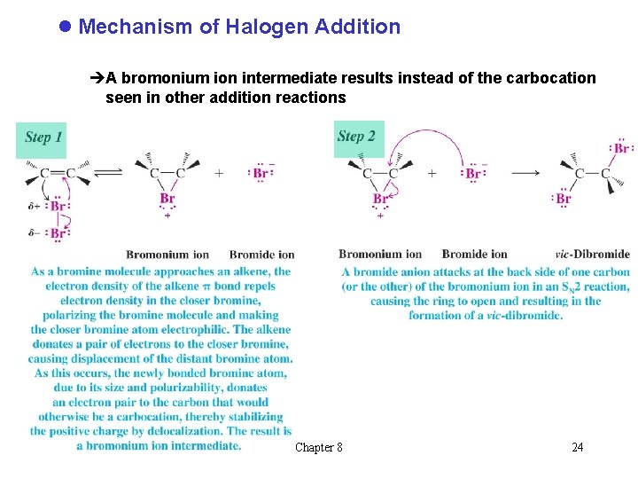 l Mechanism of Halogen Addition èA bromonium ion intermediate results instead of the carbocation