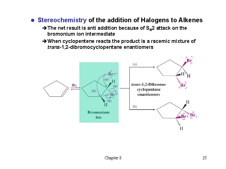 l Stereochemistry of the addition of Halogens to Alkenes èThe net result is anti