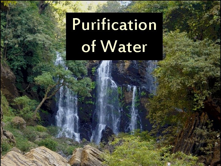 Purification of Water Purification of Water