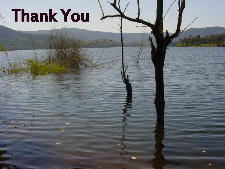 Thank You Thank You