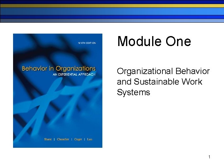Module One Organizational Behavior and Sustainable Work Systems 1 