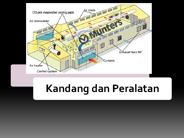 Kandang dan Peralatan Kandang dan Peralatan