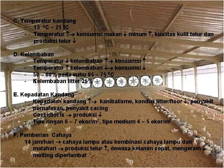 C. Temperatur kandang - 13 0 C – 21 0 C - Temperatur konsumsi C. Temperatur kandang - 13 0 C – 21 0 C - Temperatur konsumsi