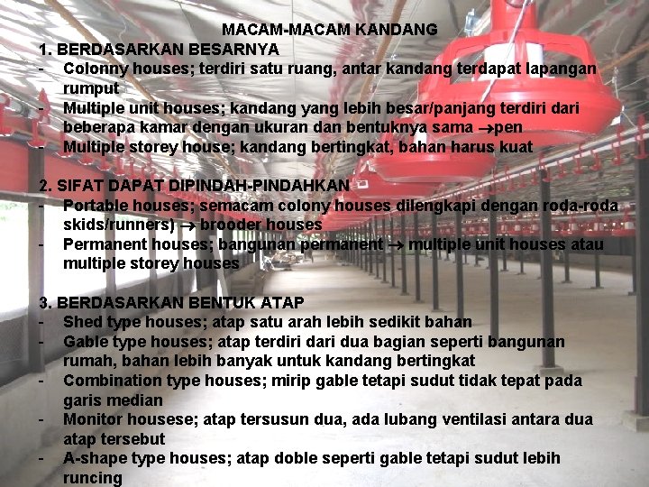 MACAM-MACAM KANDANG 1. BERDASARKAN BESARNYA - Colonny houses; terdiri satu ruang, antar kandang terdapat MACAM-MACAM KANDANG 1. BERDASARKAN BESARNYA - Colonny houses; terdiri satu ruang, antar kandang terdapat