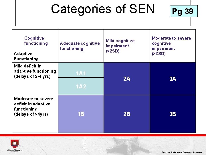 Categories of SEN Cognitive functioning Adequate cognitive functioning Adaptive Functioning Mild deficit in adaptive