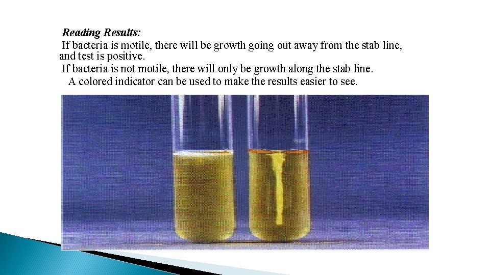 Reading Results: If bacteria is motile, there will be growth going out away from