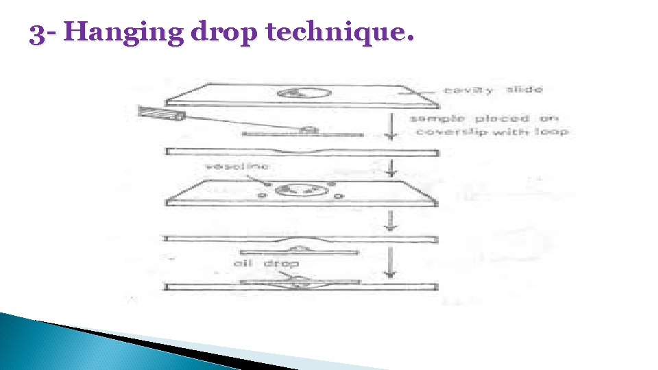 3 - Hanging drop technique. 