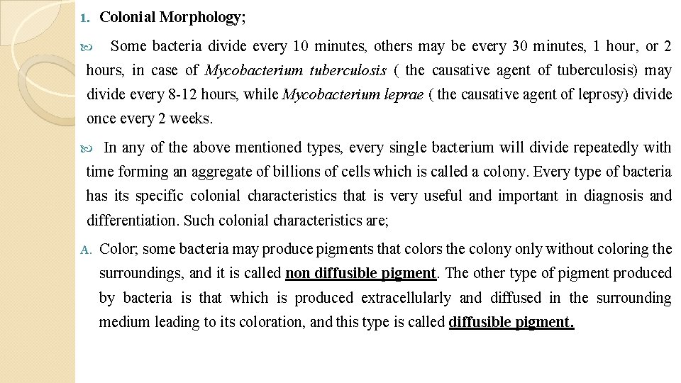 1. Colonial Morphology; Some bacteria divide every 10 minutes, others may be every 30