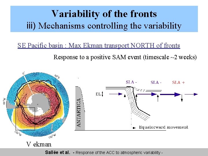 Variability of the fronts iii) Mechanisms controlling the variability SE Pacific basin : Max Variability of the fronts iii) Mechanisms controlling the variability SE Pacific basin : Max