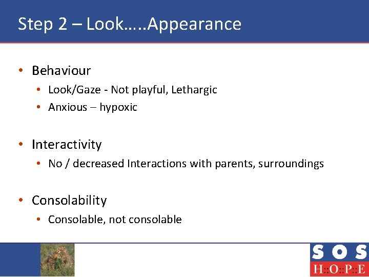 Step 2 – Look…. . Appearance • Behaviour • Look/Gaze - Not playful, Lethargic