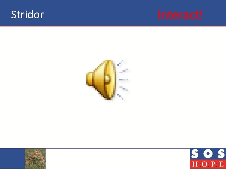 Stridor Interact! 