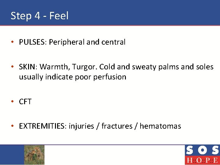 Step 4 - Feel • PULSES: Peripheral and central • SKIN: Warmth, Turgor. Cold