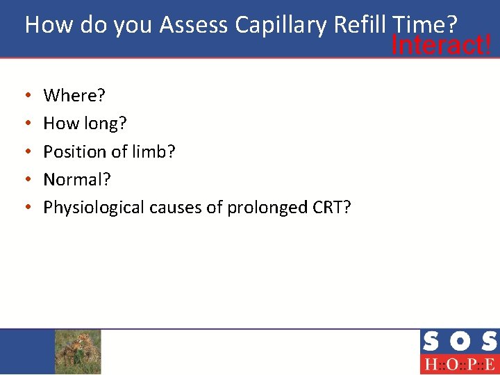 How do you Assess Capillary Refill Time? Interact! • • • Where? How long?