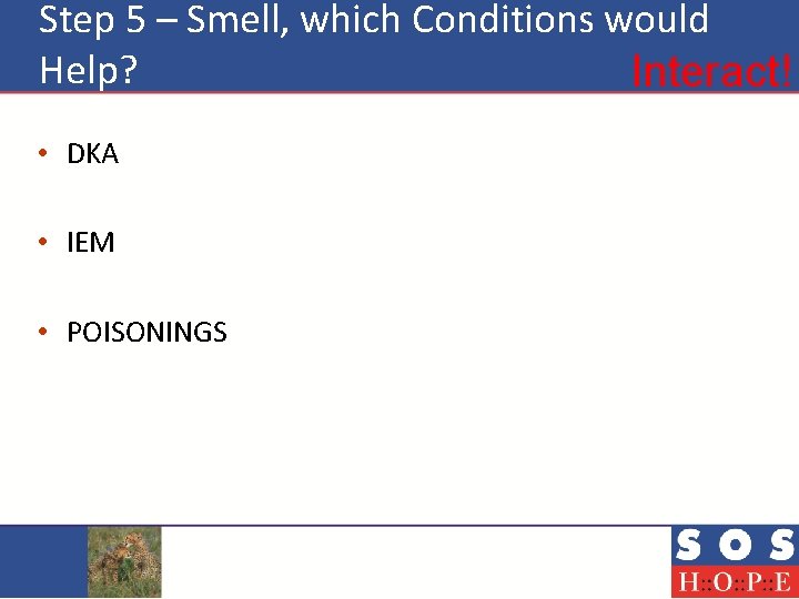 Step 5 – Smell, which Conditions would Help? Interact! • DKA • IEM •