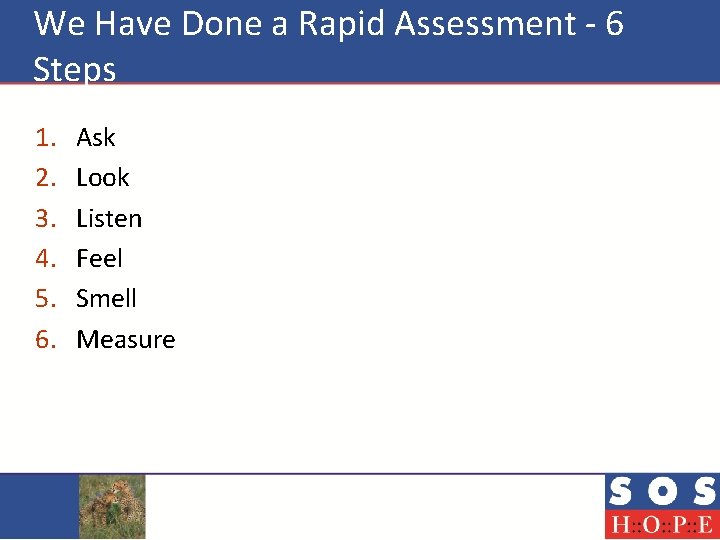 We Have Done a Rapid Assessment - 6 Steps 1. 2. 3. 4. 5.