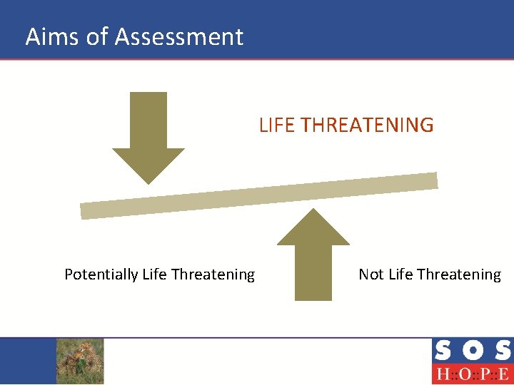 Aims of Assessment LIFE THREATENING Potentially Life Threatening Not Life Threatening 