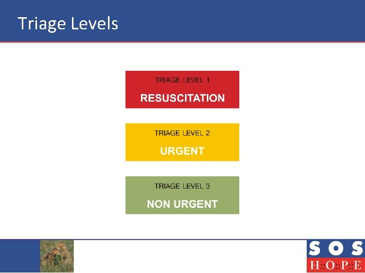 Triage Levels 