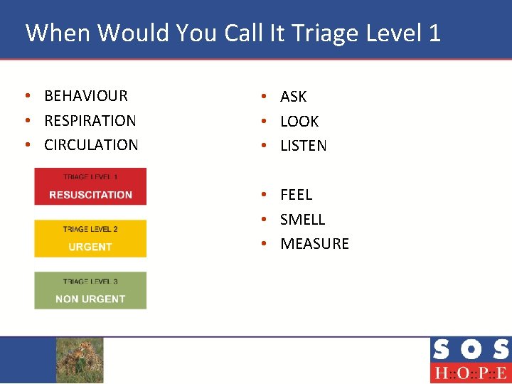 When Would You Call It Triage Level 1 • BEHAVIOUR • RESPIRATION • CIRCULATION