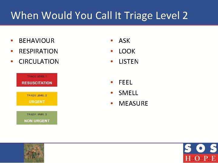 When Would You Call It Triage Level 2 • BEHAVIOUR • RESPIRATION • CIRCULATION