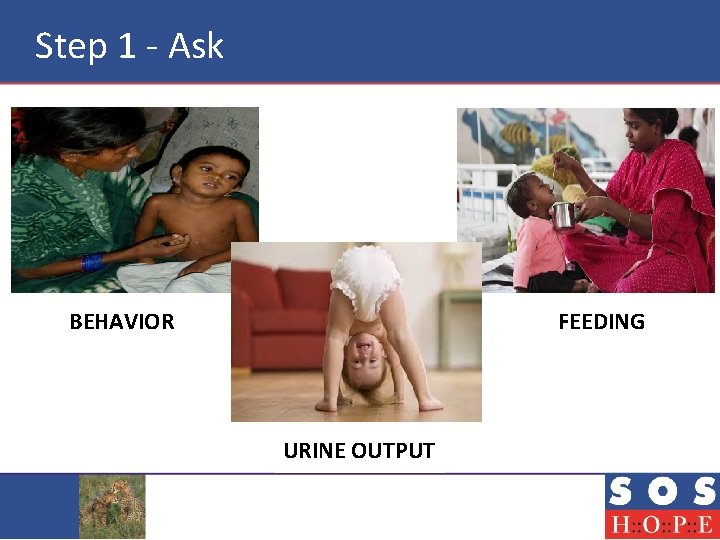 Step 1 - Ask BEHAVIOR FEEDING URINE OUTPUT 