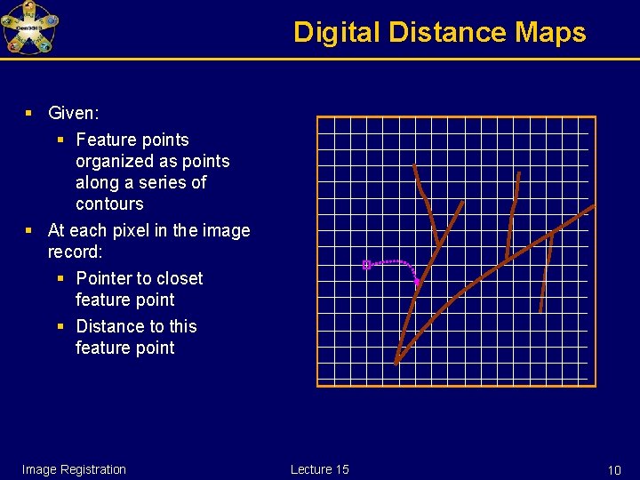 Digital Distance Maps § Given: § Feature points organized as points along a series