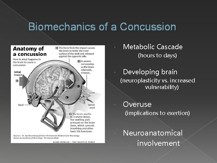 Biomechanics of a Concussion Metabolic Cascade (hours to days) Developing brain (neuroplasticity vs. increased