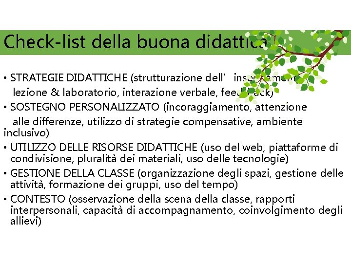 Check-list della buona didattica • STRATEGIE DIDATTICHE (strutturazione dell’insegnamento, lezione & laboratorio, interazione verbale,