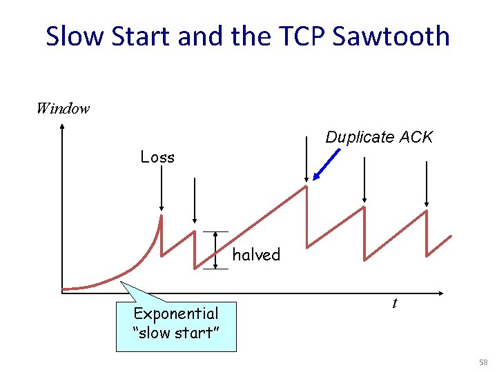 Slow Start and the TCP Sawtooth Window Duplicate ACK Loss halved Exponential “slow start”