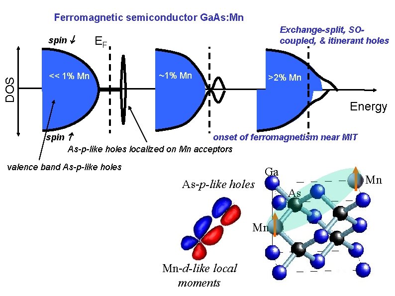 Ferromagnetic semiconductor Ga. As: Mn DOS spin Exchange-split, SOcoupled, & itinerant holes EF <<