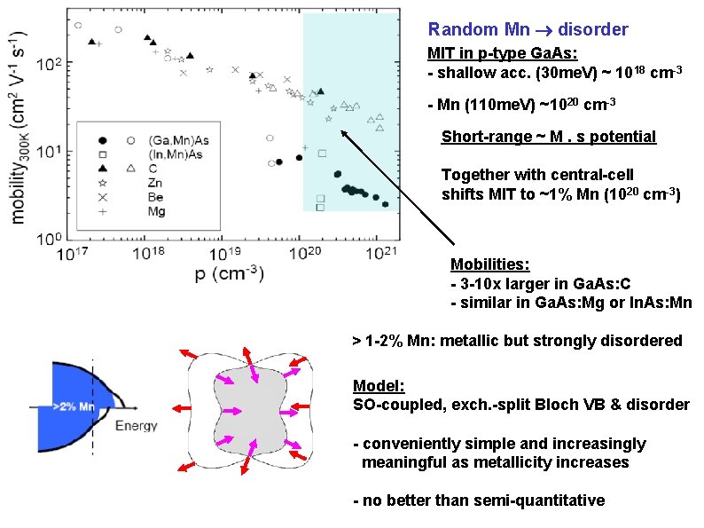 Random Mn disorder MIT in p-type Ga. As: - shallow acc. (30 me. V)