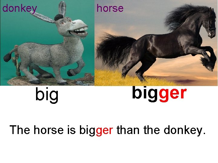 donkey big horse bigger The horse is bigger than the donkey. 