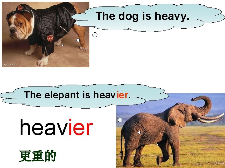 The dog is heavy. The elepant is heavier 更重的 