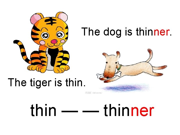The dog is thinner. The tiger is thin — — thinner 