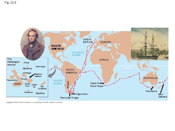 Fig. 22 -5 GREAT BRITAIN EUROPE NORTH AMERICA ATLANTIC OCEAN AFRICA Pinta Marchena Santiago