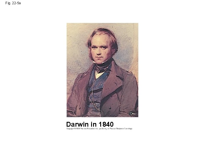 Fig. 22 -5 a Darwin in 1840 