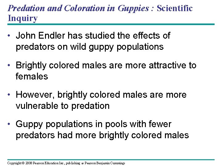 Predation and Coloration in Guppies : Scientific Inquiry • John Endler has studied the