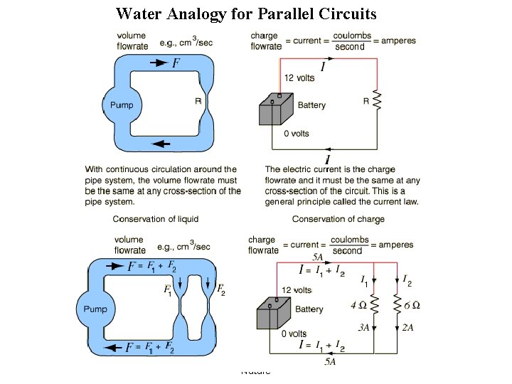 Water Analogy for Parallel Circuits ISNS 3371 - Phenomena of Nature 