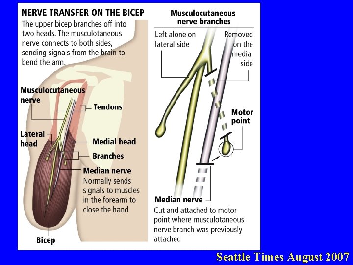 Seattle Times August 2007 
