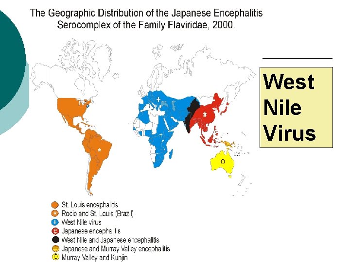 West Nile Virus 