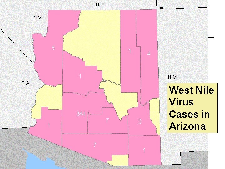 West Nile Virus Cases in Arizona 