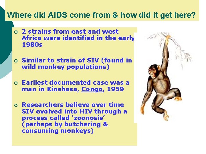 Where did AIDS come from & how did it get here? ¡ 2 strains