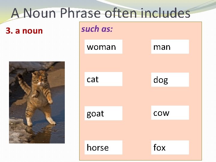 A Noun Phrase often includes 3. a noun such as: woman cat dog goat