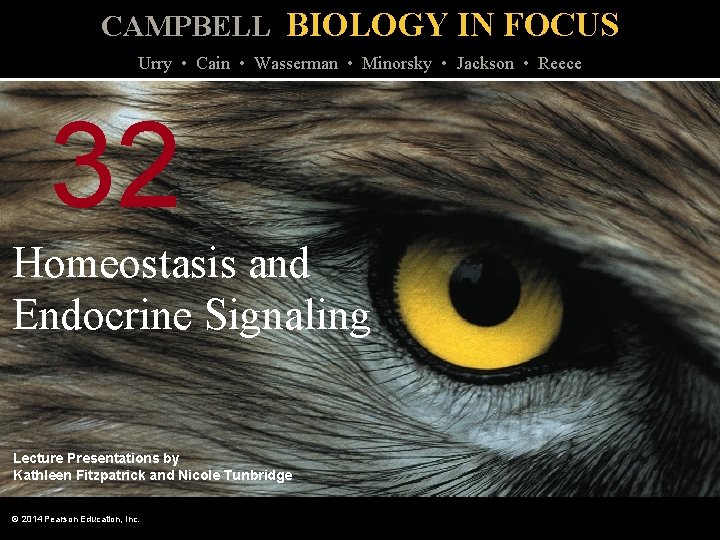 CAMPBELL BIOLOGY IN FOCUS Urry • Cain • Wasserman • Minorsky • Jackson •