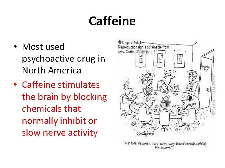 Caffeine • Most used psychoactive drug in North America • Caffeine stimulates the brain